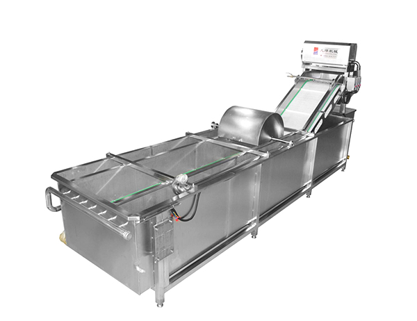 TW-307連續（xù）式洗菜機